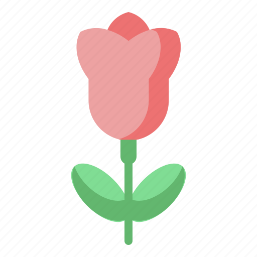 Tulip, plant, nature, botanical, rose, flower icon - Download on Iconfinder