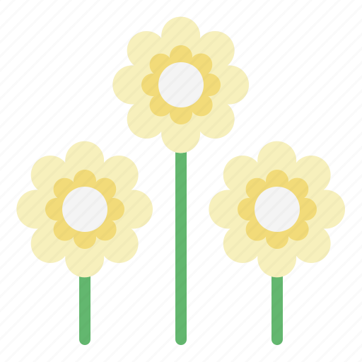 Zinnia, blossom, botanical, tropical, flower icon - Download on Iconfinder