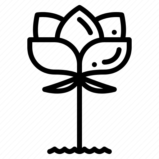 Blossom, floral, flower, lotus icon - Download on Iconfinder