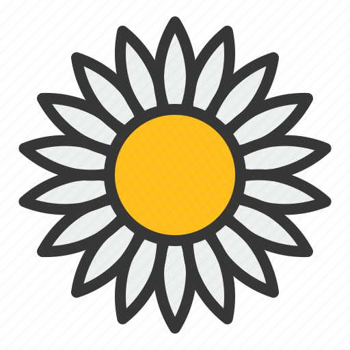 Bloom, blossom, botanical, daisy, flower, petal icon - Download on Iconfinder