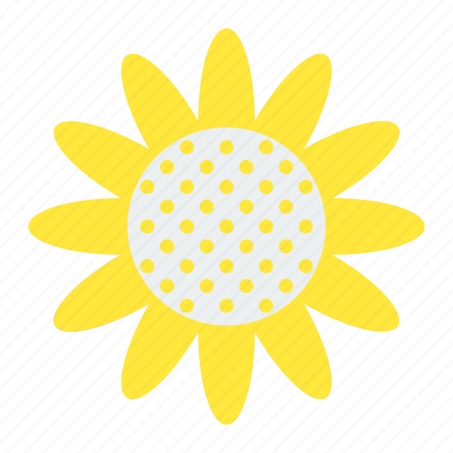 Daisy, floral, flower, garden, petal, sunflower icon - Download on Iconfinder