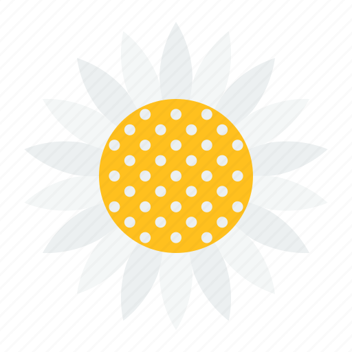 Bloom, floral, flower, petal, spring, sunflower icon - Download on Iconfinder
