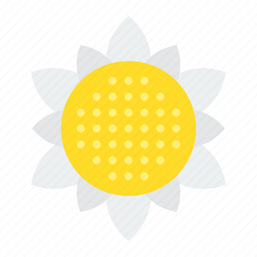 Bloom, blossom, floral, flower, petal, spring, sunflower icon - Download on Iconfinder