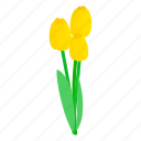 floral, flower, isometric, nature, plant, spring, tulips