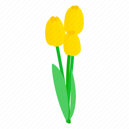 Floral, flower, isometric, nature, plant, spring, tulips icon - Download on Iconfinder