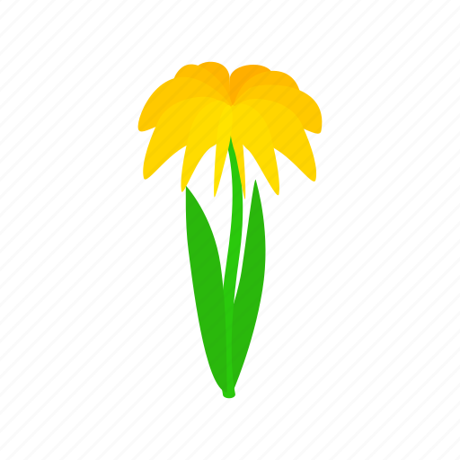 Floral, flower, isometric, nature, plant, spring, summer icon - Download on Iconfinder