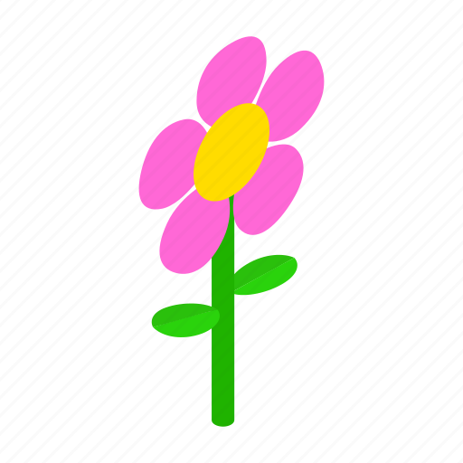 Floral, flower, isometric, nature, plant, spring, summer icon - Download on Iconfinder