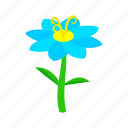 blue, floral, flower, isometric, nature, plant, spring