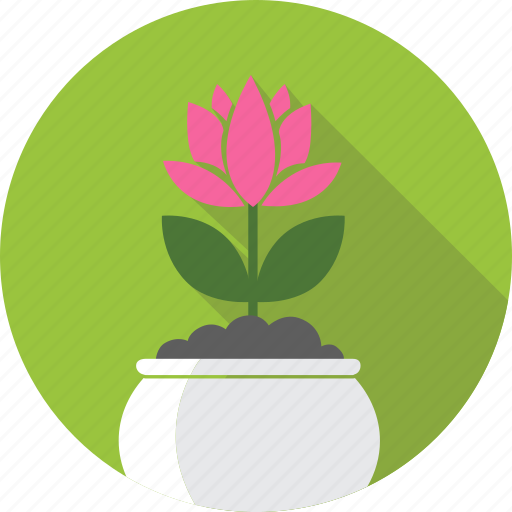 Floral, flower, flowerpot, garden, lotus, nature, plant icon - Download on Iconfinder