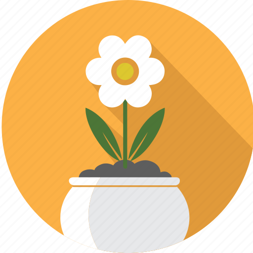 Floral, flower, flowerpot, garden, nature, plant, rose icon - Download on Iconfinder