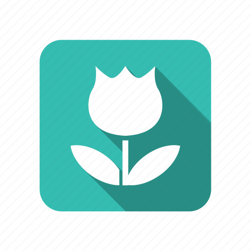 Flower, leaf, nature, environmental, ecology, eco, environment icon - Download on Iconfinder