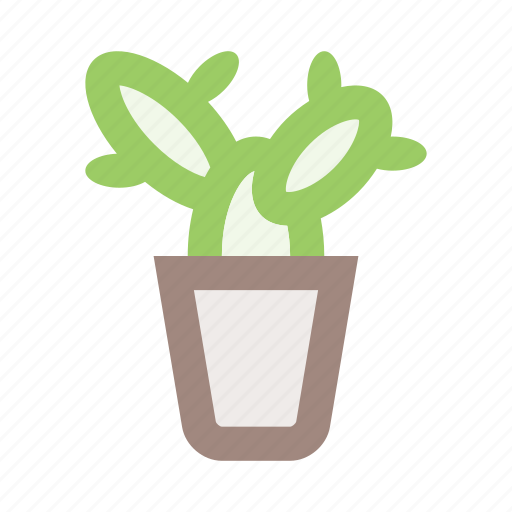 Cactus, flower, flower pot, interior, plant, plant pot, pot icon - Download on Iconfinder