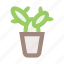 cactus, flower, flower pot, interior, plant, plant pot, pot 