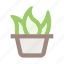 flower, flower pot, herb, interior, leaf, plant, plant pot 