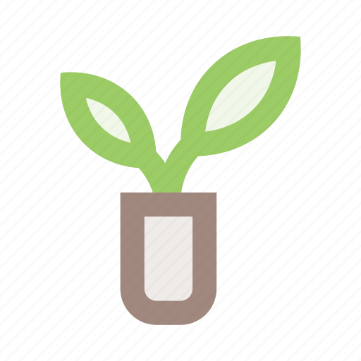 Flower, flower pot, interior, leaf, plant, plant pot, pot icon - Download on Iconfinder