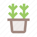 flower, flower pot, herb, interior, plant, plant pot, pot 