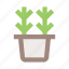 flower, flower pot, herb, interior, plant, plant pot, pot 