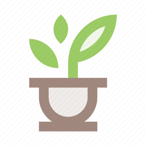 Flower, flower pot, interior, plant, plant pot, pot icon - Download on Iconfinder