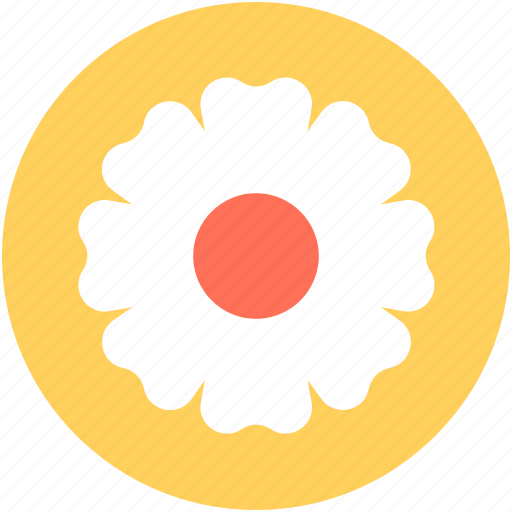 Aster, aster flower, blossom, calendula, freshness icon - Download on Iconfinder