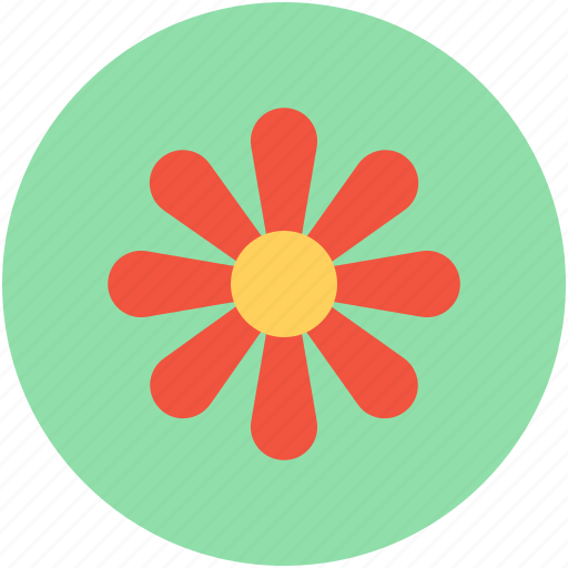 Flower, hoya bella, hoya flower, hoya wax flower, wax flower icon - Download on Iconfinder
