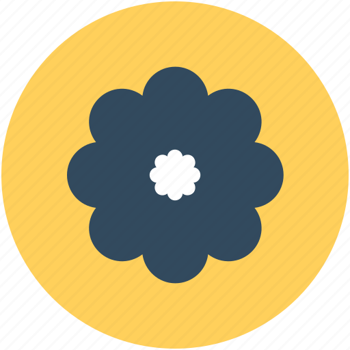 Beauty, blooming, buttercup flower, flower, nature icon - Download on Iconfinder
