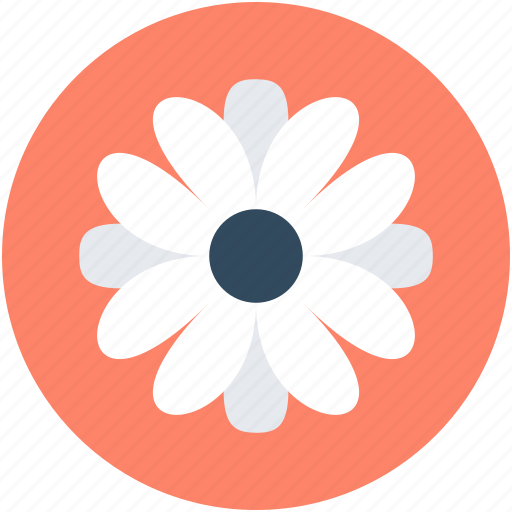 Flower, gerbera, gerbera daisy, gerbera flower, nature icon - Download on Iconfinder