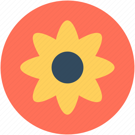 Anemone, anemone flower, decoration, flower, spring flower icon - Download on Iconfinder