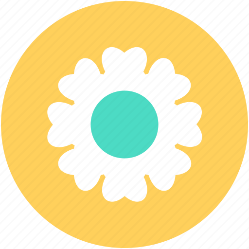 Amaryllis, amaryllis flower, clematis, flower, holiday icon - Download on Iconfinder