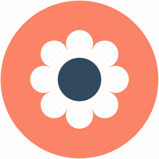 Amaryllis, amaryllis flower, clematis, flower, holiday icon - Download on Iconfinder