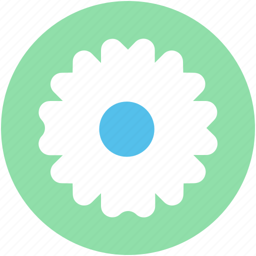 Bachelors button, cornflower, flower, nature, wildflower icon - Download on Iconfinder