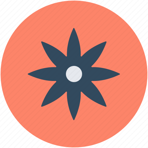 Creative flower, floral, flower, star shape, sunflower icon - Download on Iconfinder