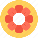 amaryllis, amaryllis flower, clematis, flower, holiday