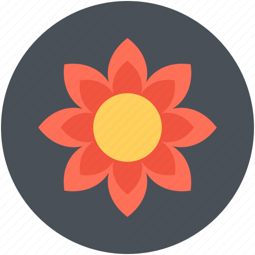 Beautiful, bloom, blooming, blossom, sunflower icon - Download on Iconfinder