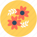 blossom, flower, hydrangea quercifolia, oakleaf hydrangea, spring flower