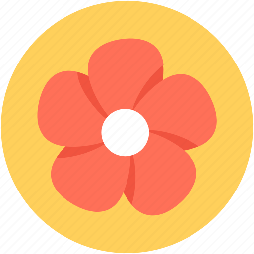 Flower, hoya bella, hoya flower, hoya wax flower, wax flower icon - Download on Iconfinder