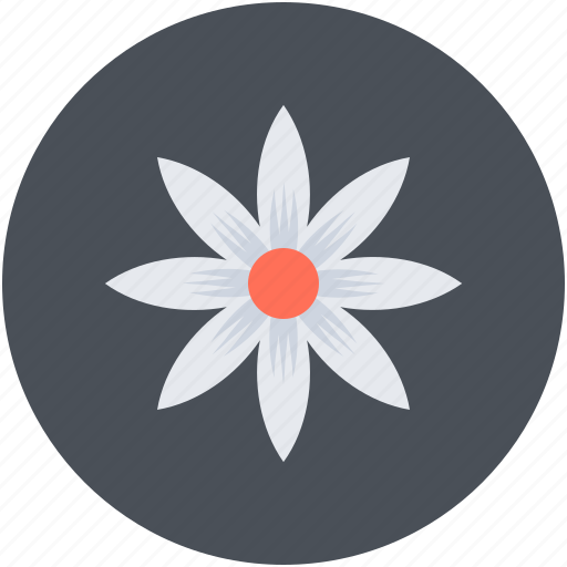 Cowslip, decoration, floral, primrose, summer icon - Download on Iconfinder
