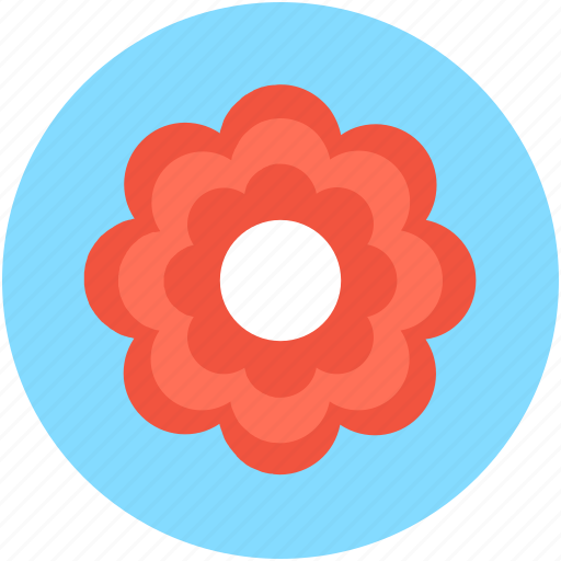 Bloom, blossom, daisy, flower, macro flower icon - Download on Iconfinder