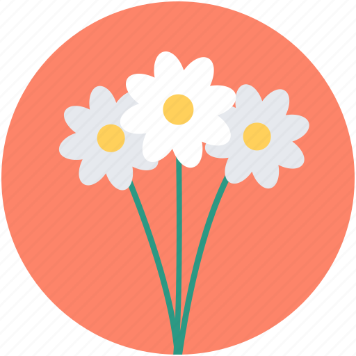 Bellflower, bluebell bloom, bouquet, flower, nature icon - Download on Iconfinder