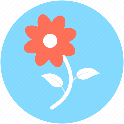 Blossom, flower, nature, rose, rosebud icon - Download on Iconfinder