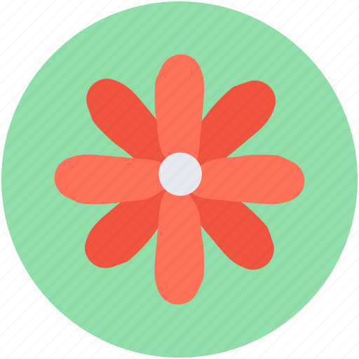 Cowslip, decoration, floral, primrose, summer icon - Download on Iconfinder