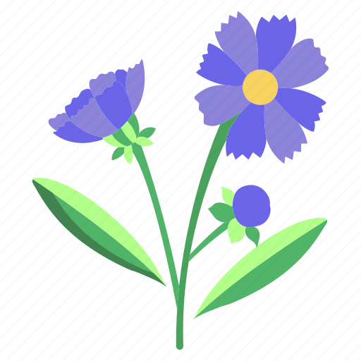 Coreopsis icon - Download on Iconfinder on Iconfinder