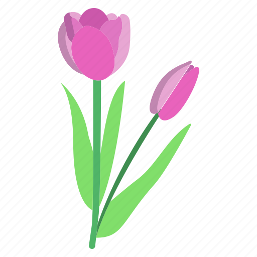 Tulip icon - Download on Iconfinder on Iconfinder