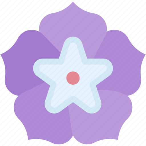 Morning, glory, flower, botanical, blossom, petals, nature icon - Download on Iconfinder
