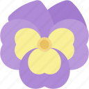 pansy, botanical, blossom, flowers, plant, petals, nature