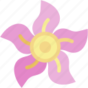 oleander, farming, and, gardening, botanical, blossom, spring, nature, garden
