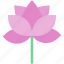lotus, wellness, flower, yoga, blossom, chakra, garden, ecology, environment 