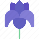 iris, flowers, flower, farming, gardening, botanical, plant, petals, nature