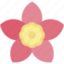 blood, flower, tropical, blossom, flowers, petals, nature, farming, and