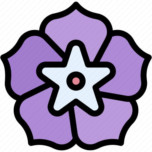 Morning, glory, flower, botanical, blossom, petals, nature icon - Download on Iconfinder