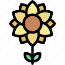 sunflower, leaves, farming, and, gardening, botanical, blossom, petals, flower